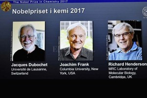 ELLITORAL_191983 |  Internet