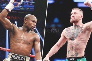 ELLITORAL_188338 |  Internet