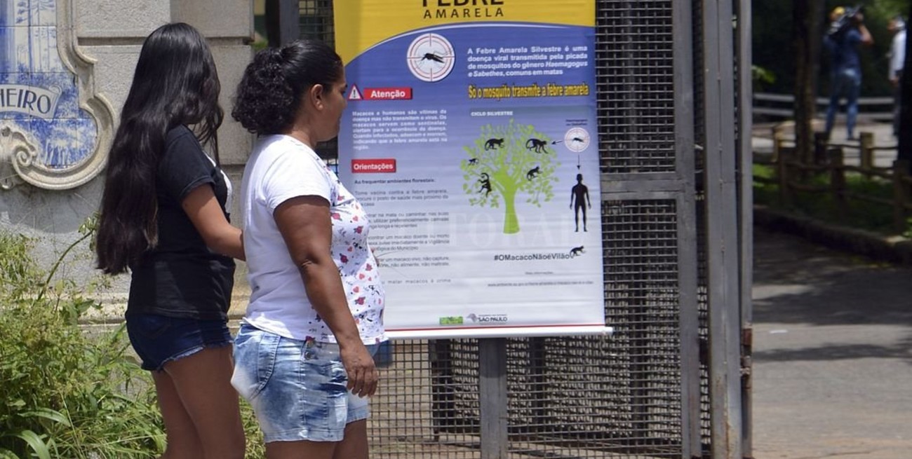 Declaran a San Pablo "zona de riesgo de fiebre amarilla" y recomiendan vacunarse