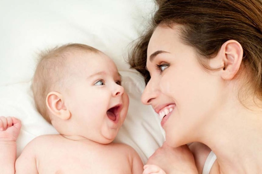 ELLITORAL_209357 |  Internet