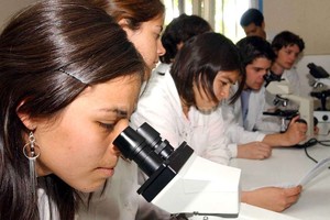 Archivo El Litoral En la página www.nanoporundia.org está toda la información disponible y la posibilidad de inscribirse y enviar los trabajos