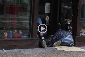 GUILLERMO DI SALVATORE