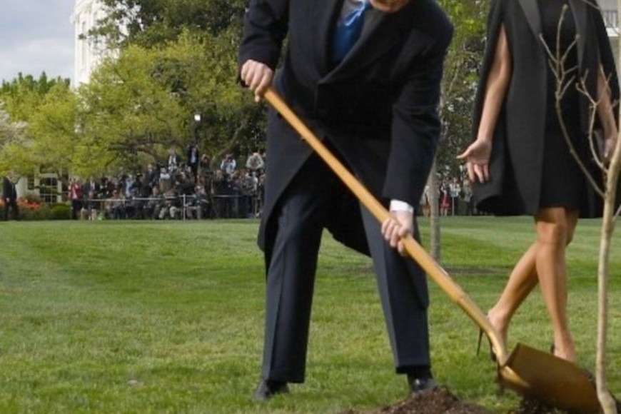 ELLITORAL_209526 |   Trump plantando un árbol en la Casa Blanca.