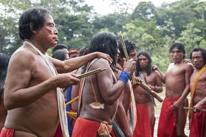 Survival International