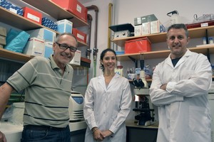 Prensa Conicet Santa Fe. Laboratorio. Los Dres. Jorge Reinheimer, Patricia Burns, Ana Binetti y Gabriel Vinderola, del Instituto de Lactología Industrial (INLAIN) dependiente del CONICET y la UNL.