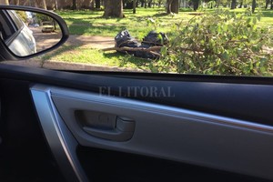 Periodismo Ciudadano