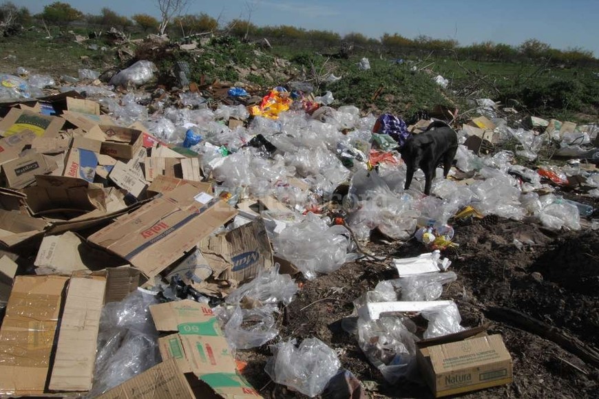 ELLITORAL_162737 |  Guillermo Di Salvatore La acumulación de residuos y escombros se incrementó en los últimos años, y es un foco de contaminación de la laguna Setúbal.