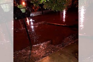 ELLITORAL_210467 |  Facebook Todos Para Uno