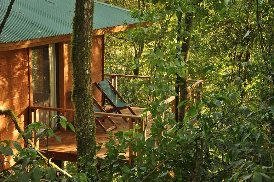 ELLITORAL_197699 |  Gentileza.