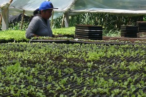 Juan Manuel Fenrnández