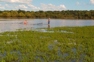 Gentileza Conicet Especialistas durante una captura de ejemplares.