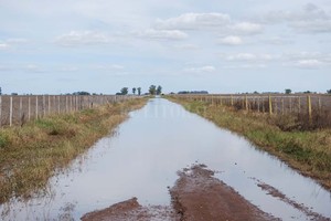 Guillermo Di Salvatore