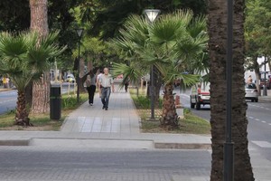 Luis Cetraro El relevamiento comenzó en 2016 y finalizará el año que viene. Estudian los árboles que están en la ciudad, en paseos como Bulevar Gálvez y Pellegrini, Avenida Freyre y Parque Juan de Garay, entre otros.