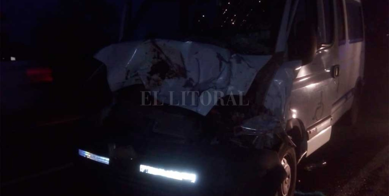 Traffic de la Municipalidad de San Javier chocó contra animales en la Ruta 1