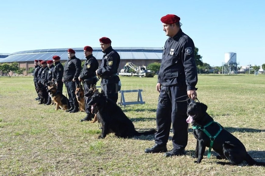 ELLITORAL_235113 |  Gentileza. El vínculo que se establece entre cada animal y su guía es muy fuerte, dice Vergara. Por eso, una vez que pasa a retiro, cada animal es adoptado por el efectivo que lo tuvo a su cargo 8 años.