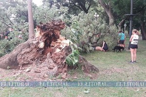 ELLITORAL_234228 |  El Litoral