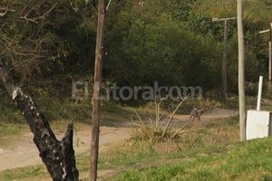 ELLITORAL_144708 |  Archivo El Litoral Bajada Distefano, en La Guardia.