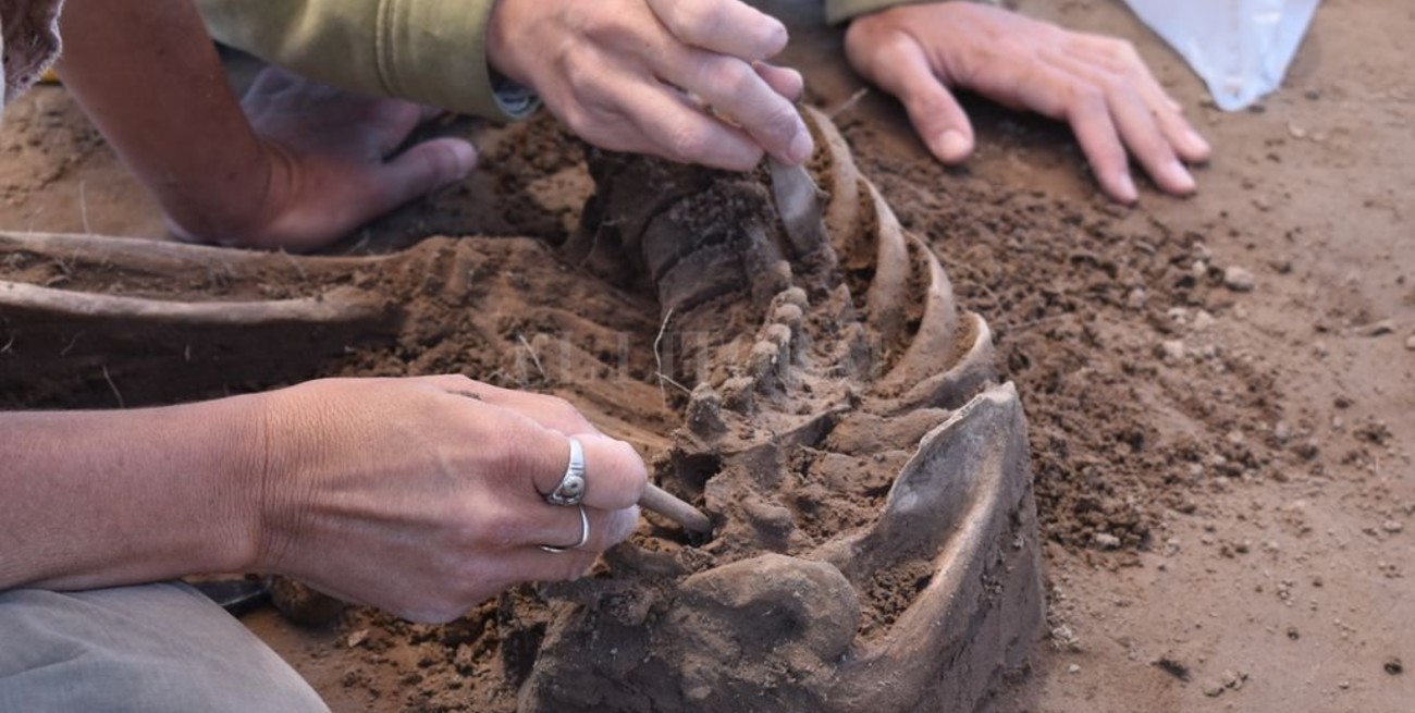 San Eduardo, polo arqueológico: otra vez encontraron restos óseos de pueblos originarios
