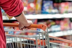 ELLITORAL_271634 |  Imagen representativa