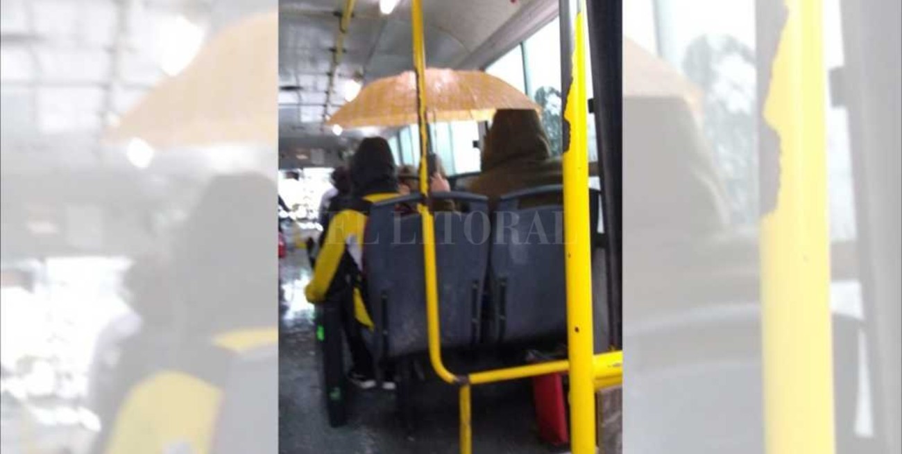 Insólito: viajaba en el colectivo con el paraguas abierto 