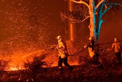 Incendios en Australia: 23 muertos, 1.500 casas destruidas y críticas al primer ministro