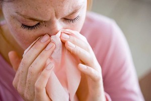 ELLITORAL_202198 |  Archivo El Litoral Estornudos. Es uno de los síntomas de rinitis, una enfermedad que puede afectar la calidad del descanso y el rendimiento en el trabajo y la escuela.