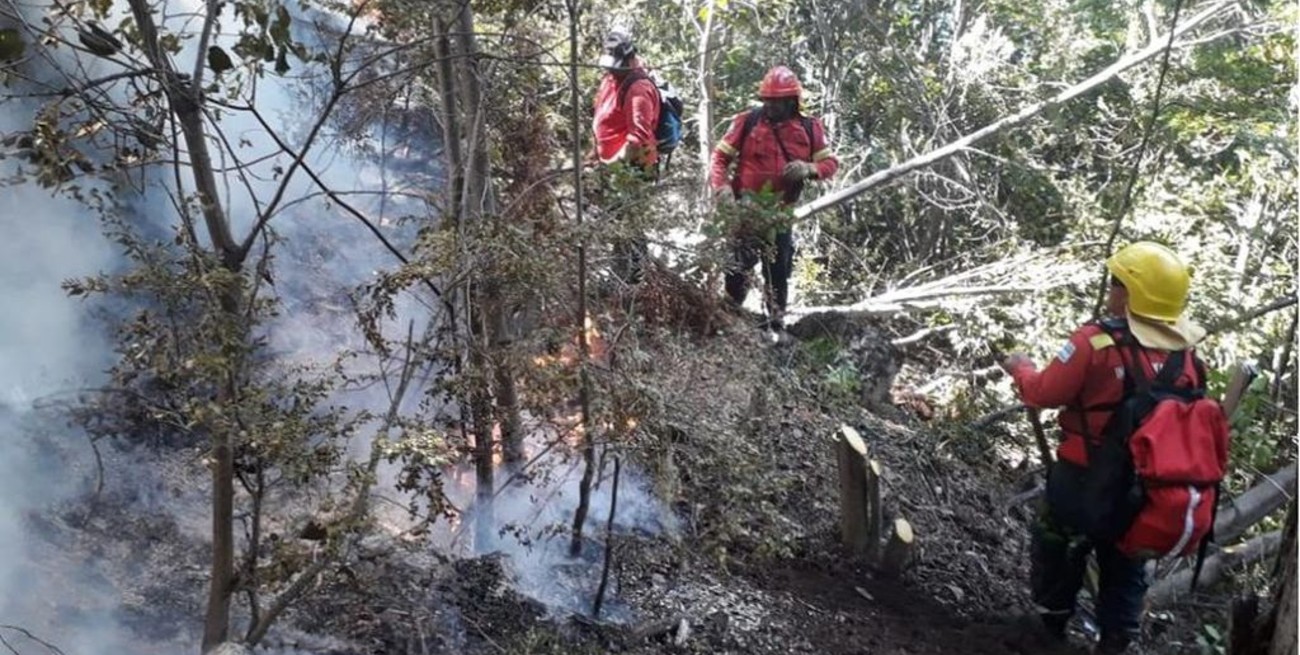 Incendio en el sur argentino: ya son 1.550 hectáreas afectadas en Chubut