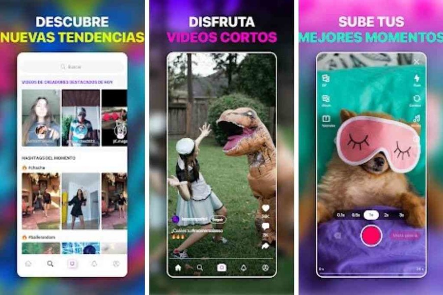 ELLITORAL_288740 |  Imagen ilustrativa