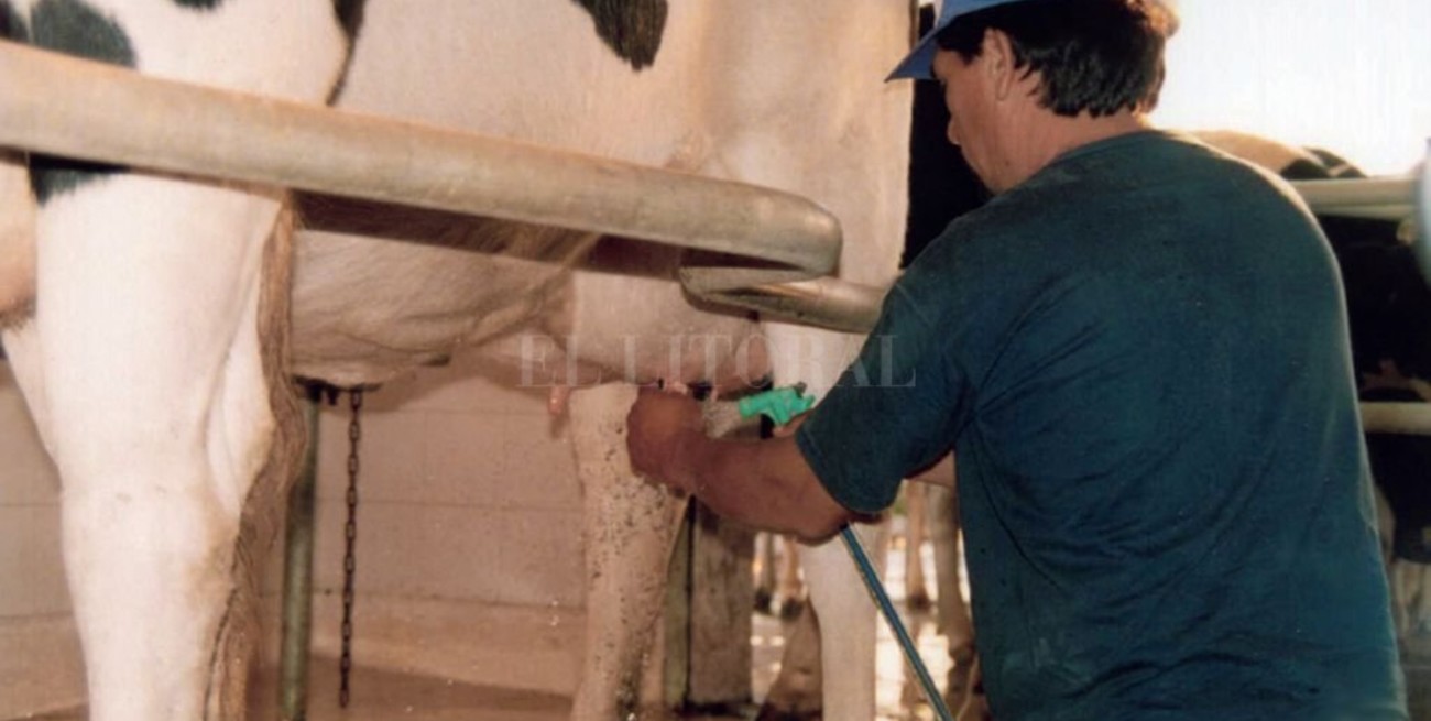 ¿Cúales fueron los costos de producción de leche en agosto?