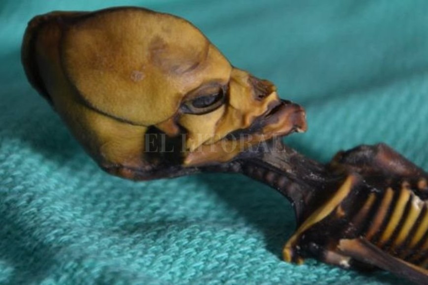 ELLITORAL_206898 |  BBC Mundo Confundieron al esqueleto de una niña recién nacida con un extraterrestre.