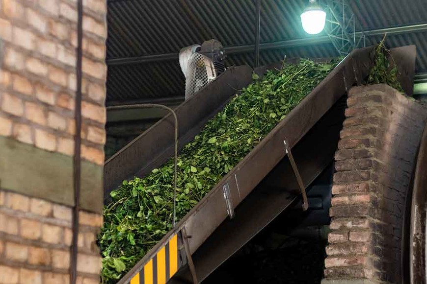 ELLITORAL_247418 |  Gentileza.