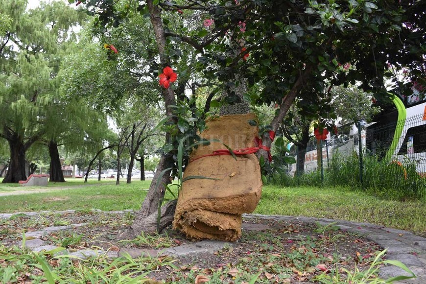 ELLITORAL_278985 |  Flavio Raina