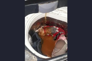 ELLITORAL_280602 |  Agencia