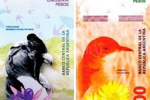 ELLITORAL_199637 |  El Litoral