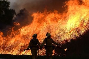 ELLITORAL_199072 |  DPA