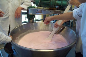 Prensa UNL Laboratorio. Para llegar al yogur realizaron varias pruebas de elaboración.