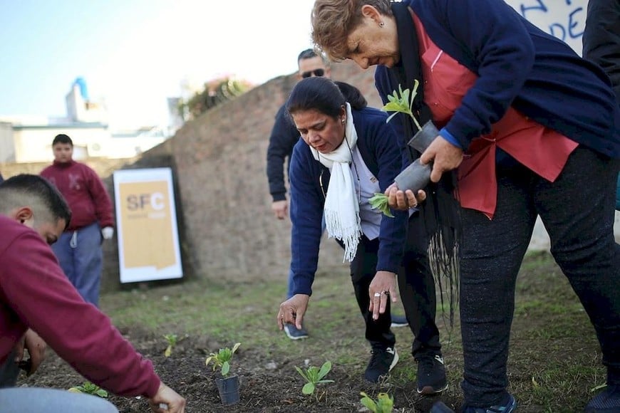 ELLITORAL_257547 |  Gentileza Municipalidad El programa municipal de Huertas Urbanas funciona en 14 instituciones de la ciudad.