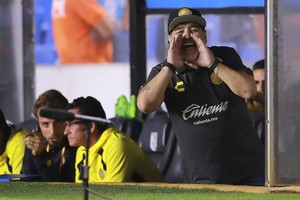 ELLITORAL_227685 |  Internet