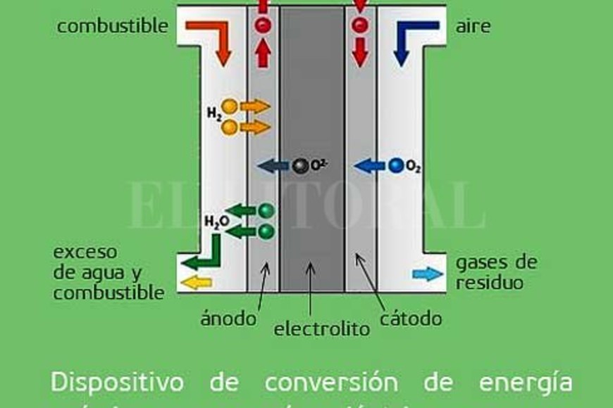 ELLITORAL_258637 |  Gentileza