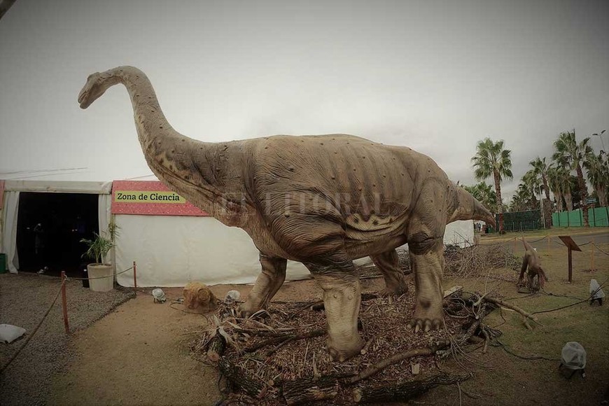 ELLITORAL_182100 |  Twitter @turismoparana