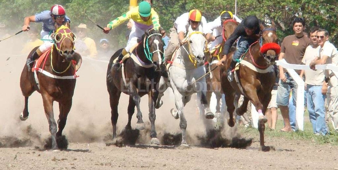 Tres caballos muertos luego de una carrera en el Hipódromo de Posadas