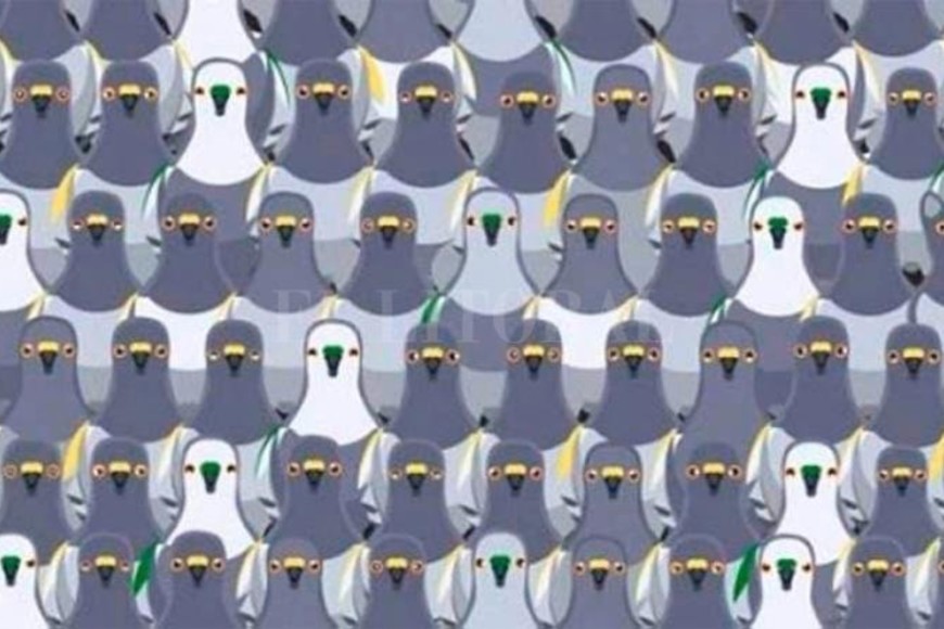 ELLITORAL_268847 |  Captura de pantalla