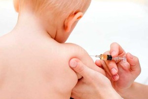 ELLITORAL_224337 |  Internet