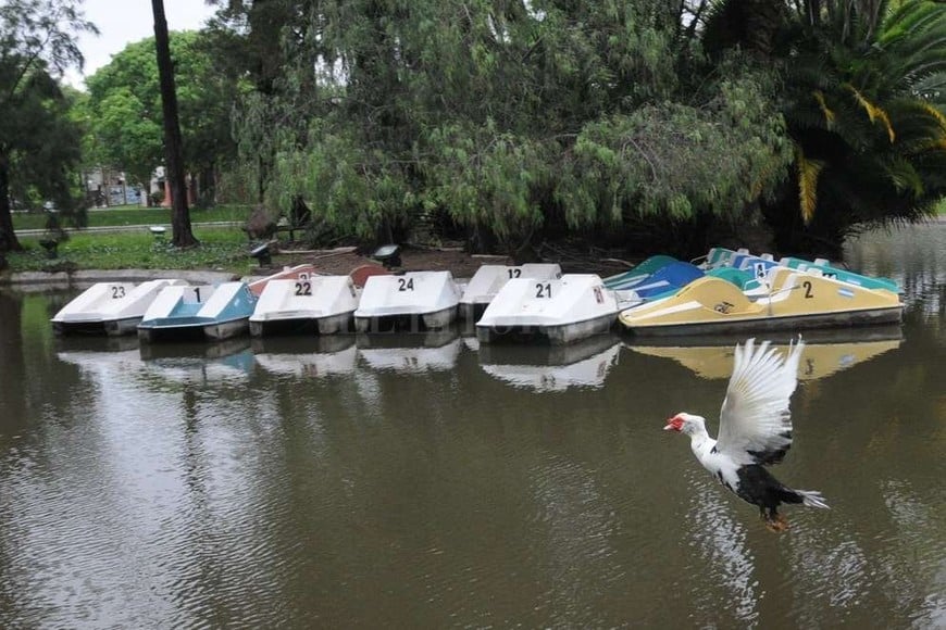 ELLITORAL_175017 |  Flavio Raina Antes. La imagen es de 2015.