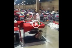 ELLITORAL_189799 |  Captura digital