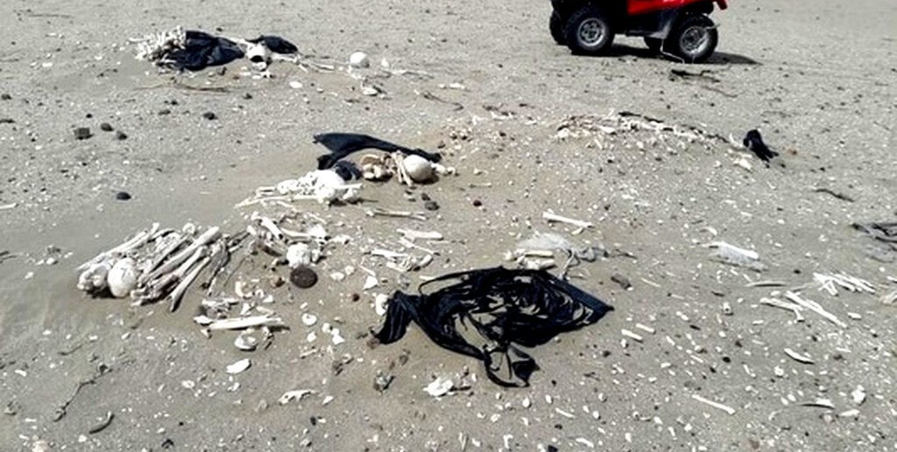 Paseaban por la costa y encontraron 20 esqueletos humanos