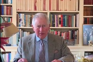 ELLITORAL_293627 |  Gentileza