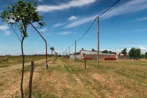 ELLITORAL_277709 |  Archivo El Litoral A mediados de octubre de 2017 autoridades comunales habían firmado un convenio del programa  Para cada santafesino un arbol , donde se entregó un monto de $40.000 en concepto de subsidio para la compra de arboles, enmarcado en el Decreto Provincial 2613/17.