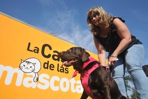 ELLITORAL_208136 |  Flavio Raina En la Casa de las Mascotas se diagraman, organizan y coordinan desde campañas, castraciones, atención veterinaria, vacunaciones antirrábicas y tratamientos contra la sarna.