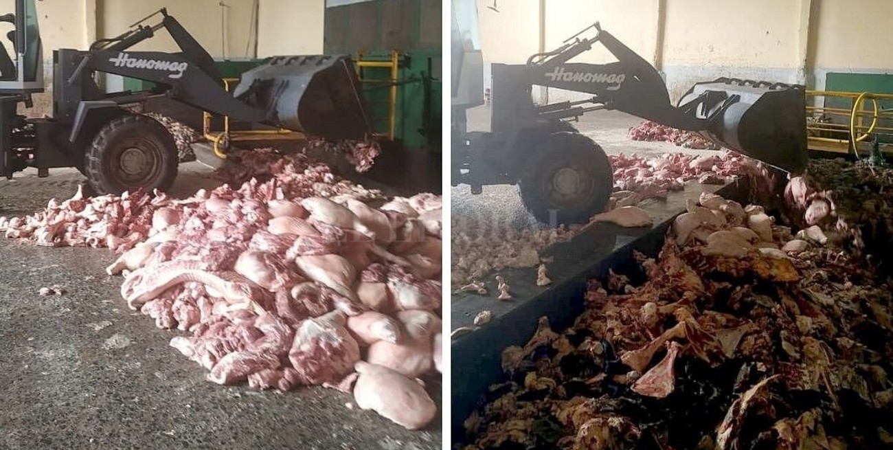 Transportaba ilegalmente más de 2 toneladas de carne de cerdo